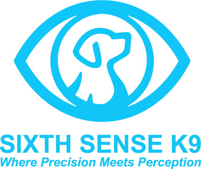 Sixth Sense K9 Where Perception Meets Perfection
